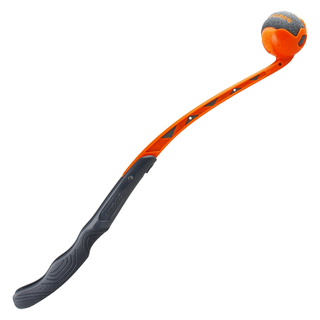 GIG Skipdawg Ballenwerper Oranje/Grijs-61cm
