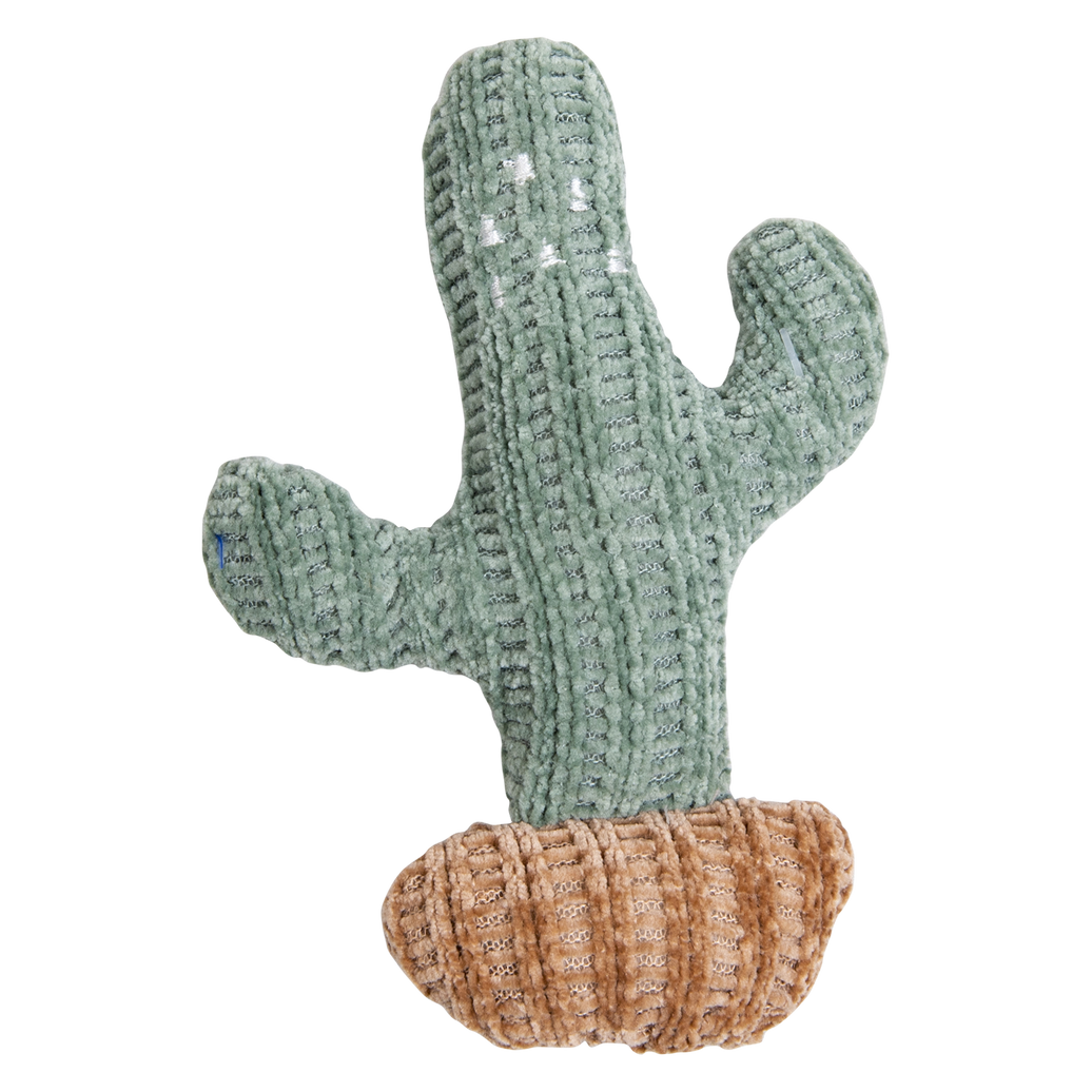 PURRL Cactus met Catnip