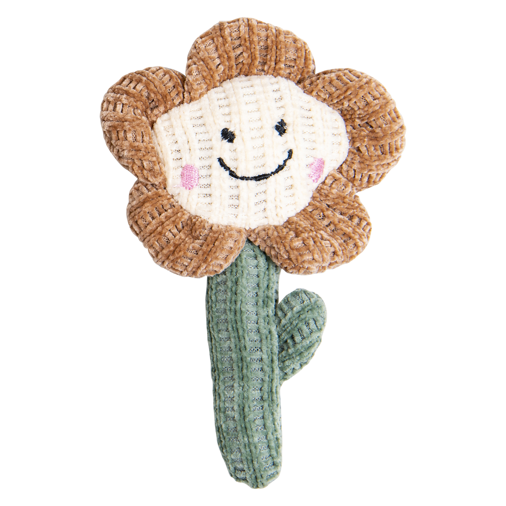 PURRL Bloem met Catnip