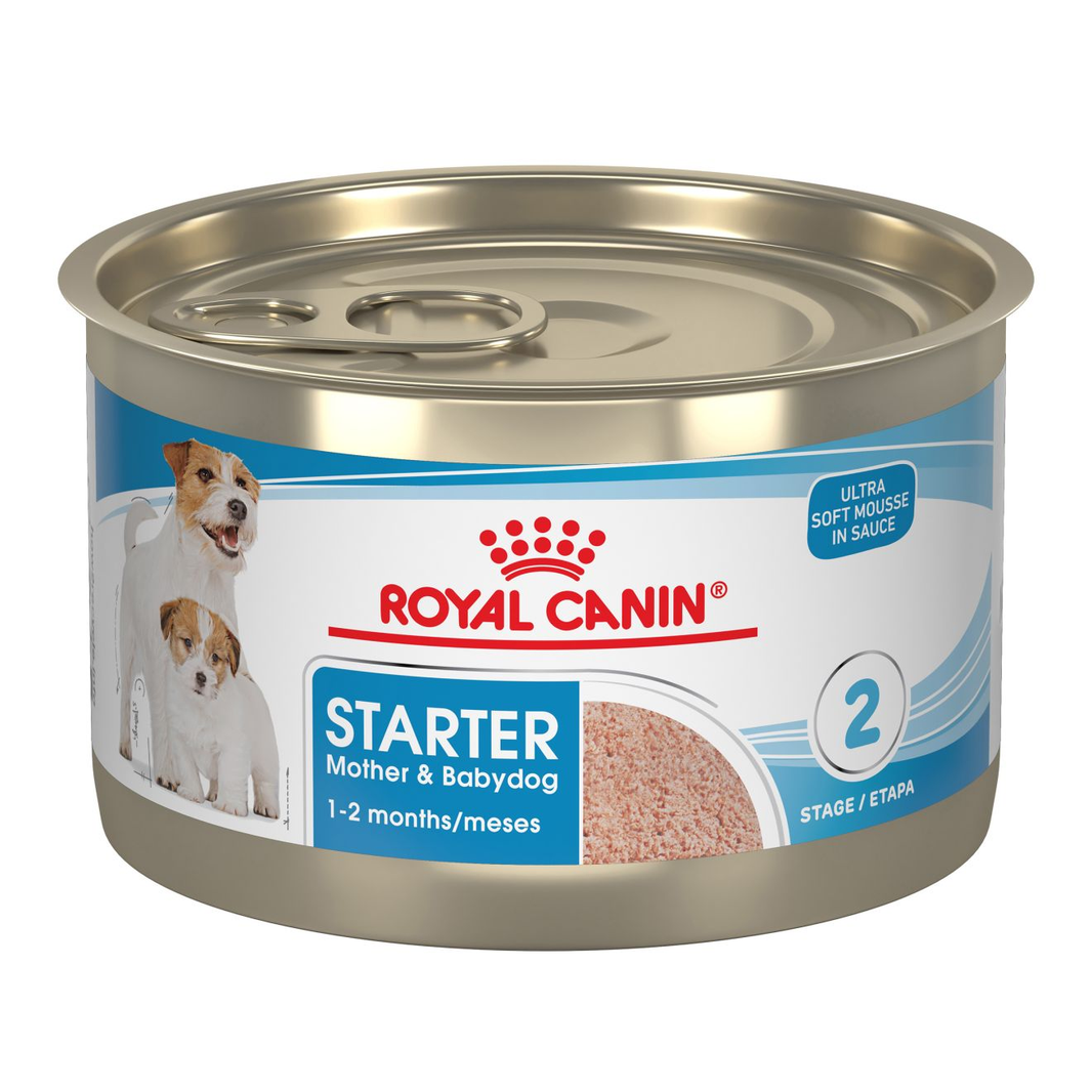 Starter Mousse Mother & Babydog