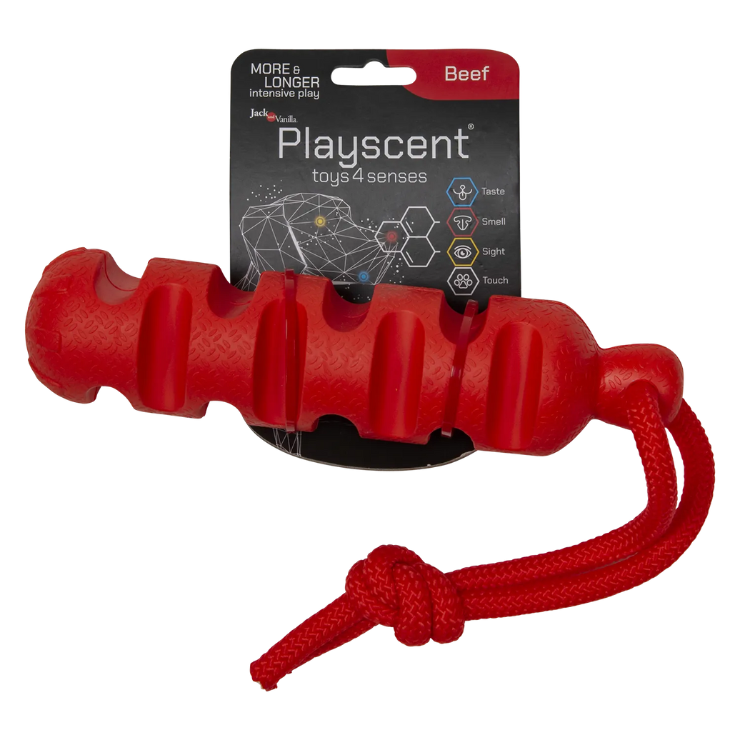 JV PLAYSCENT Dummy Runds-24cm