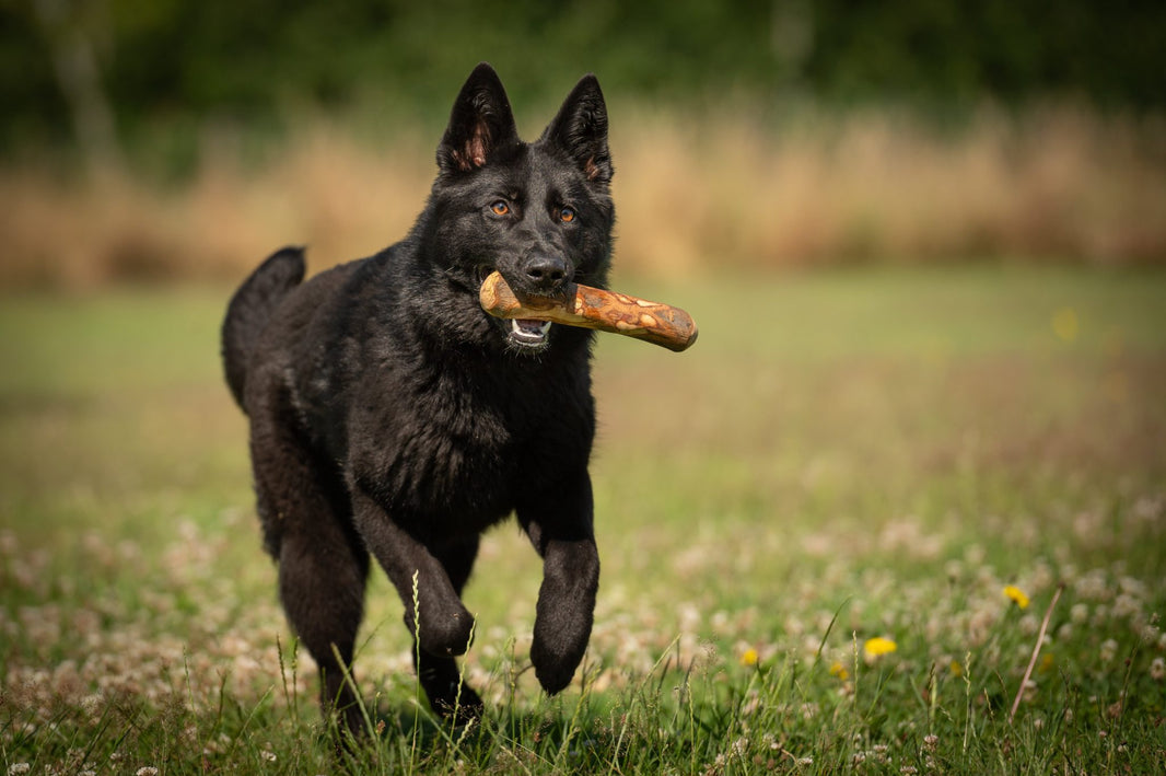 ALL NATURE Olijfhout