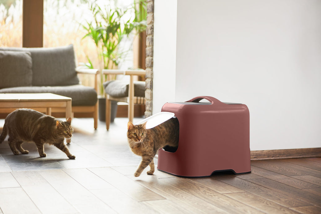 Rotho kattentoilet Biala iron red