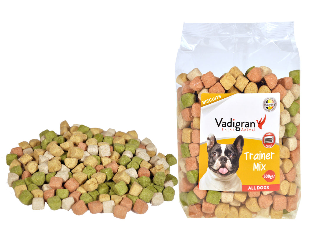Snack dog Biscuits Trainer Mix 500g