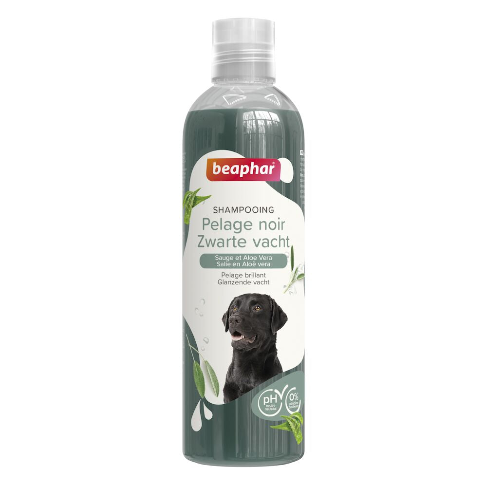 Shampoo Dog Black Coat 250ml