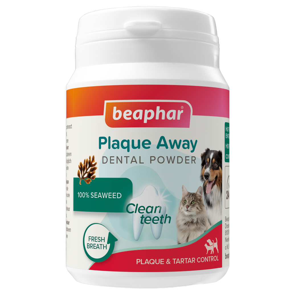 Dental Poeder Plaque Away 80g