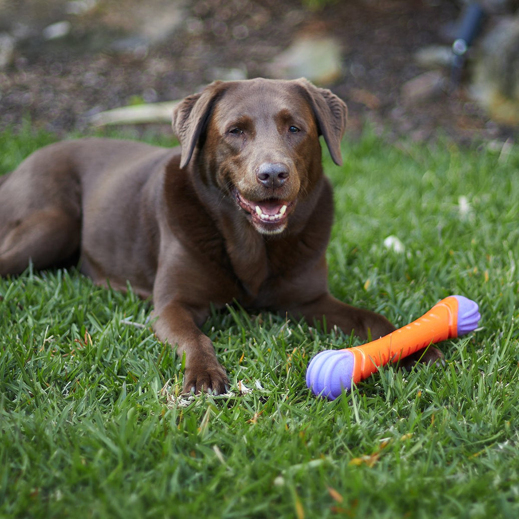 Extreme Play Dog Chew Stick - Large - 30cm drijft
