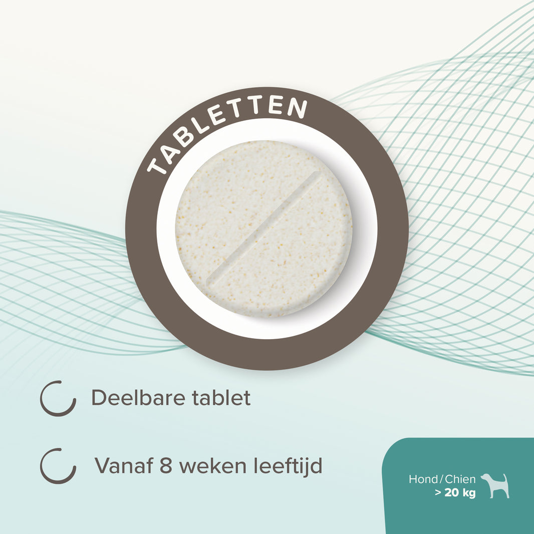 Intestopro Tabletten Hond M/L 20st