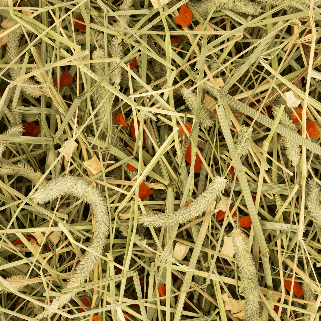 Timothy-Hooi - Wortel & Pastinaak Rodelicious 600g