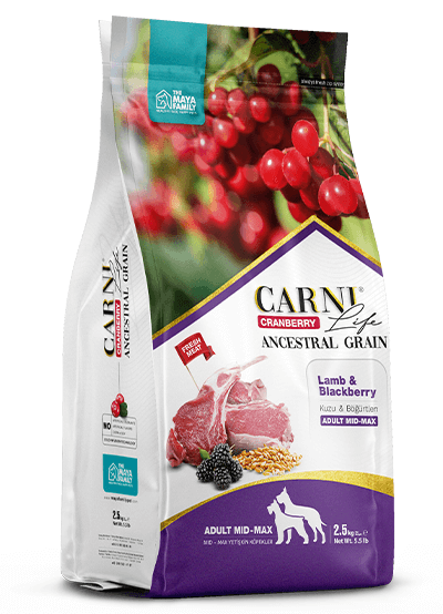 Carni Life Cranberry ANCESTRAL GRAIN LAMB & BLACKBERRY ADULT MEDIUM & MAXI 2.5kg