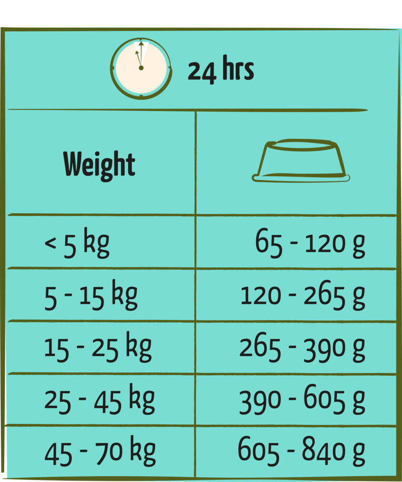 Happy Life Adult met Zalm