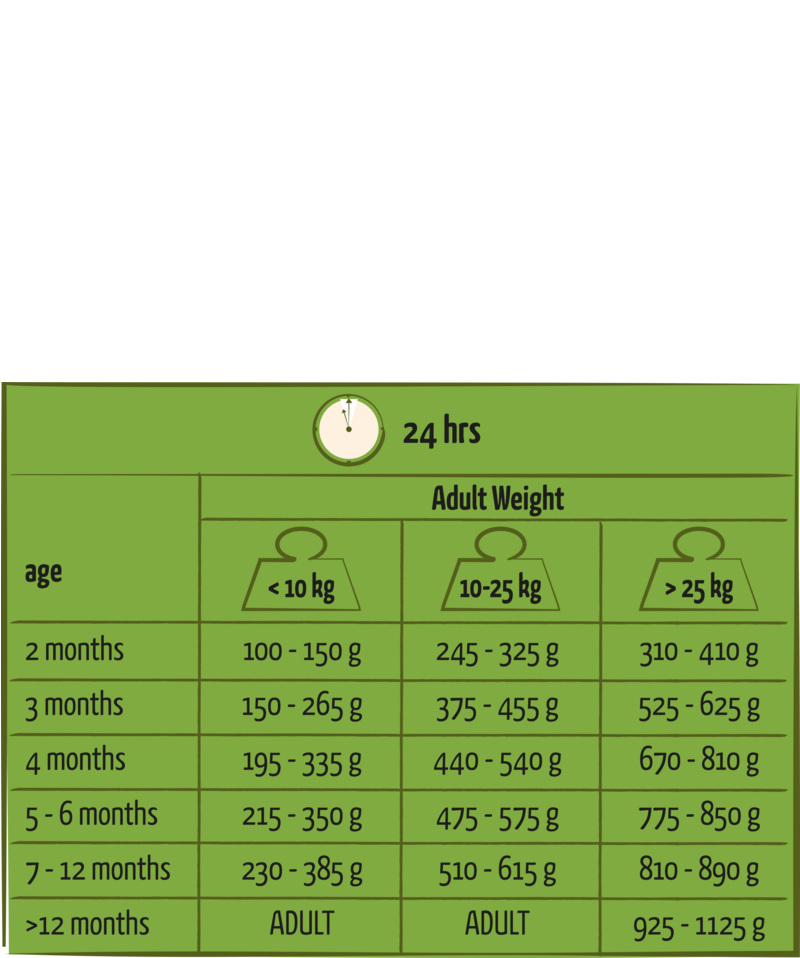 Happy life Junior  met Kip