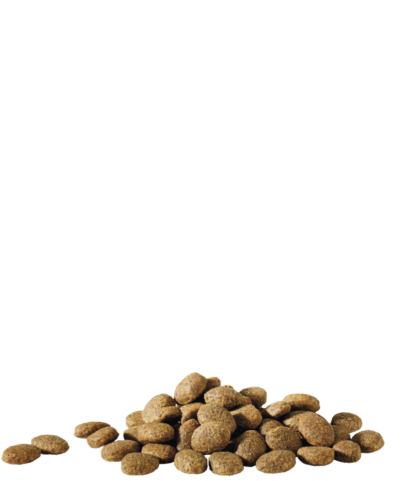 Happy Life Essential 20kg