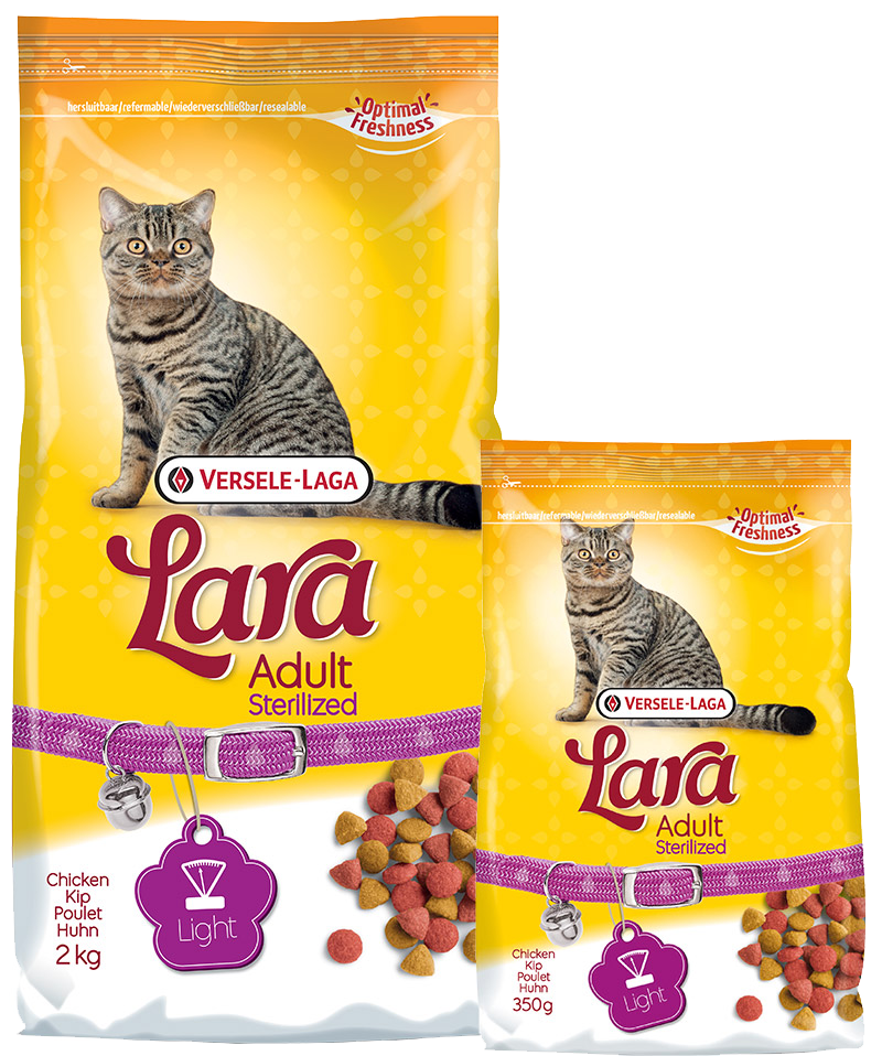 Lara Adult Sterilized