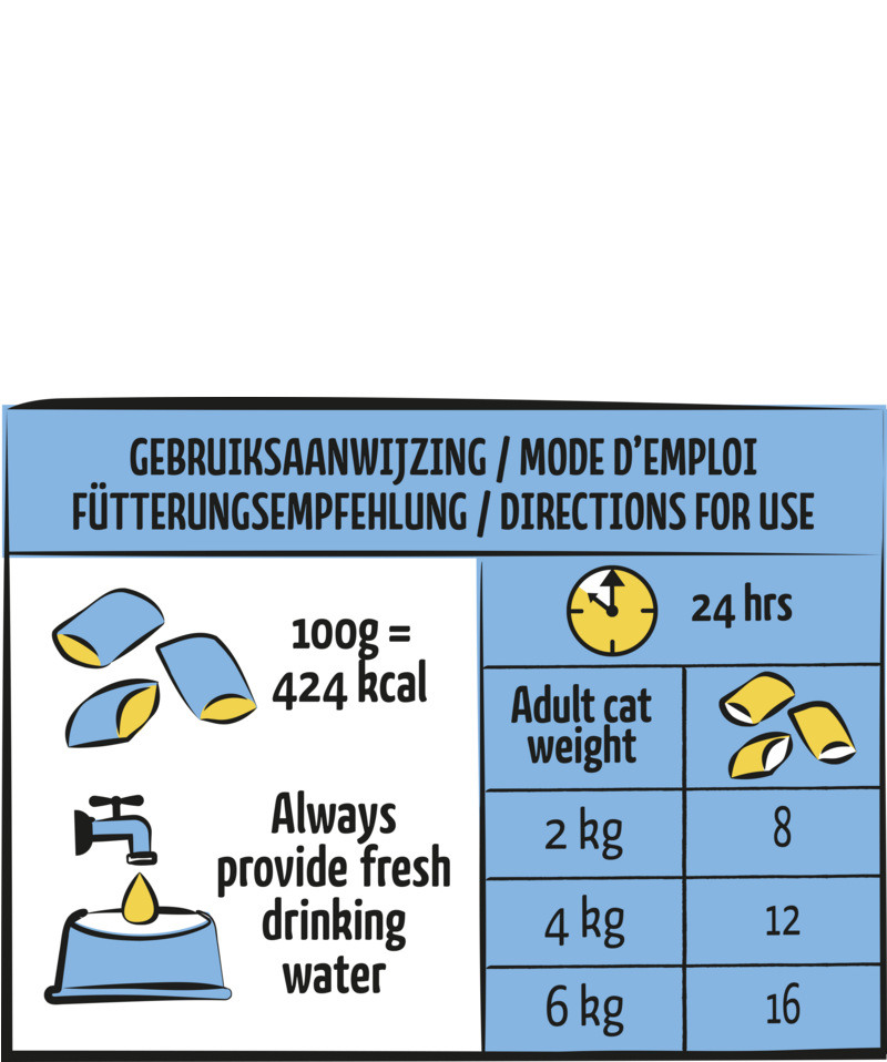 Pillows with Salmon Happy Fur Treats 60g