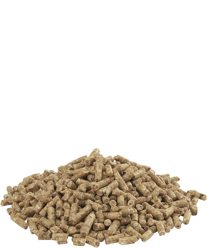 Country's Best GOLD 4 GALLICO pellet standaard legkorrel 20kg