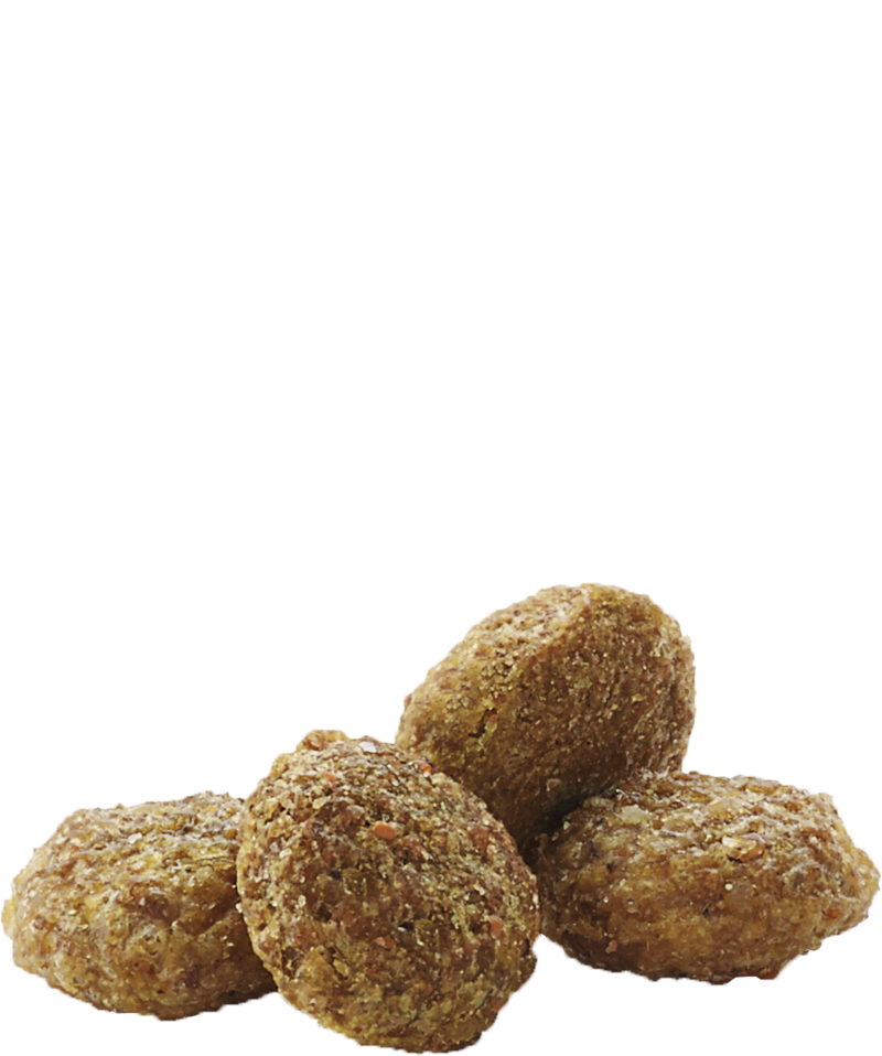 Versele-Laga Complete Hamster & Gerbil 500g