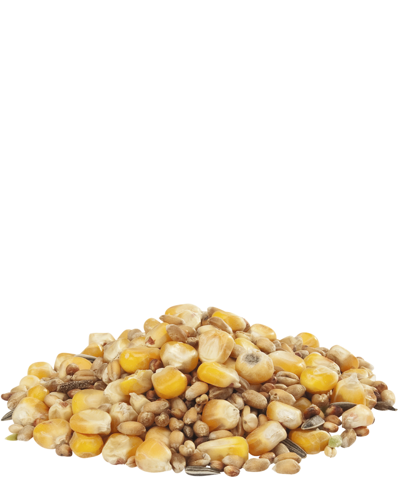 Country Best GRA-MIX hennengraan 4kg