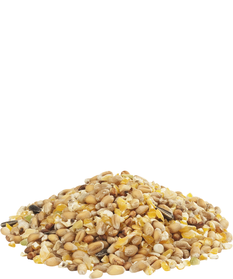 Country Best GRA-MIX ardeens graan