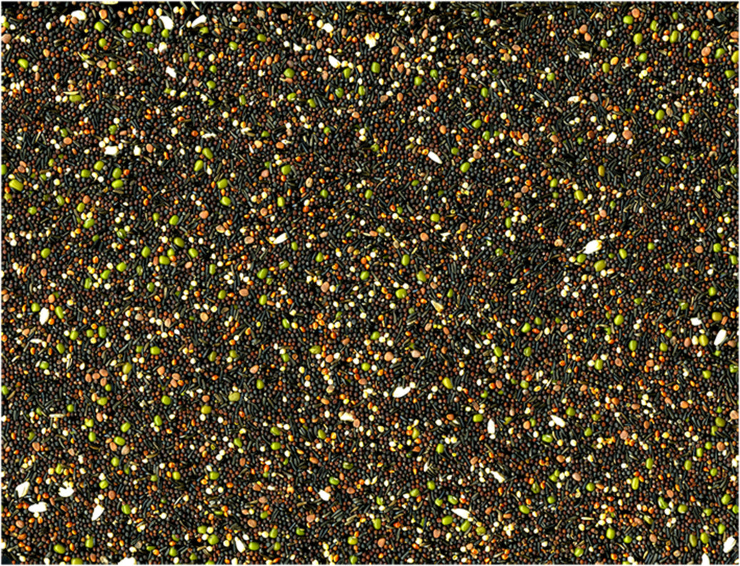 Kiemzaad ORIGINAL 1 kg