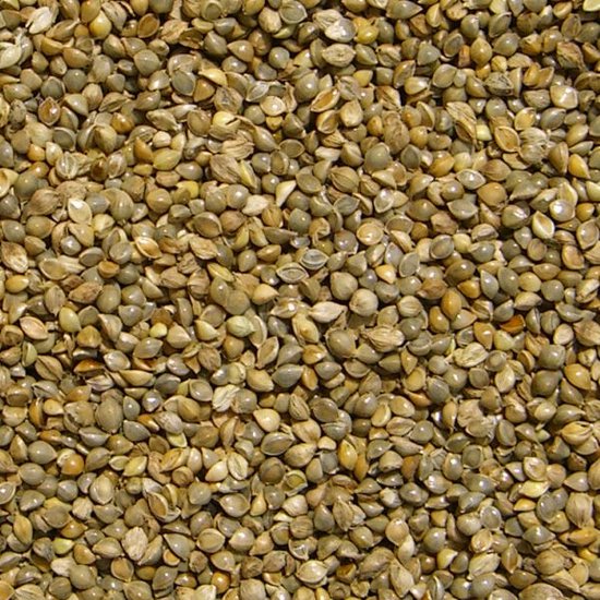 Millet Japanese 15kg