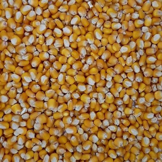 Country`s Best Voedermais 20kg