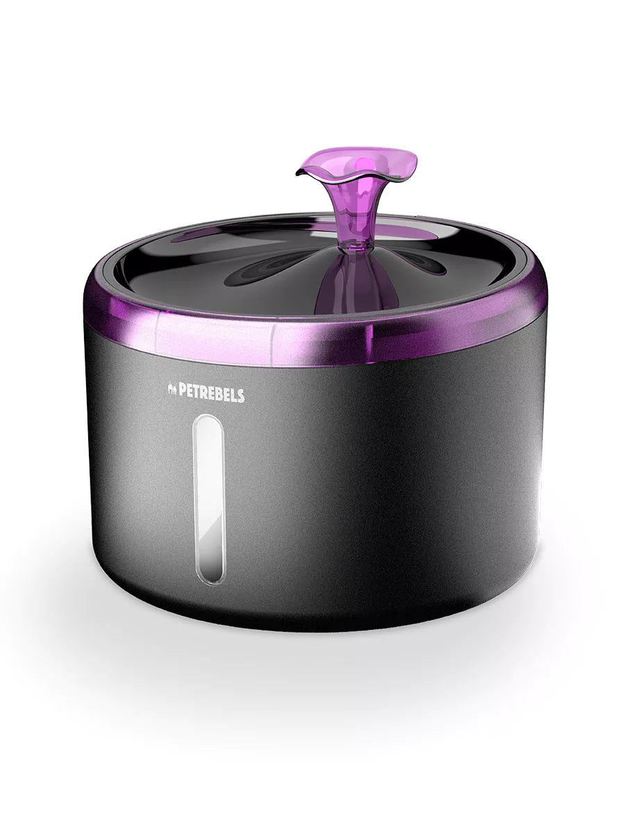 Petrebels - Spring 20 - Waterfontein - Zwart/Paars - 2,5L