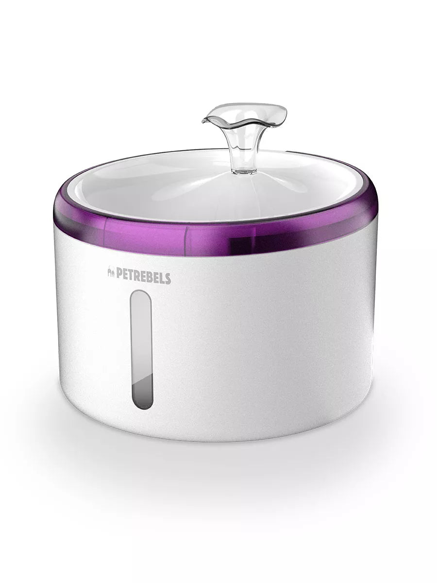 Petrebels - Spring 20 - Waterfontein - Wit/Paars - 2,5L