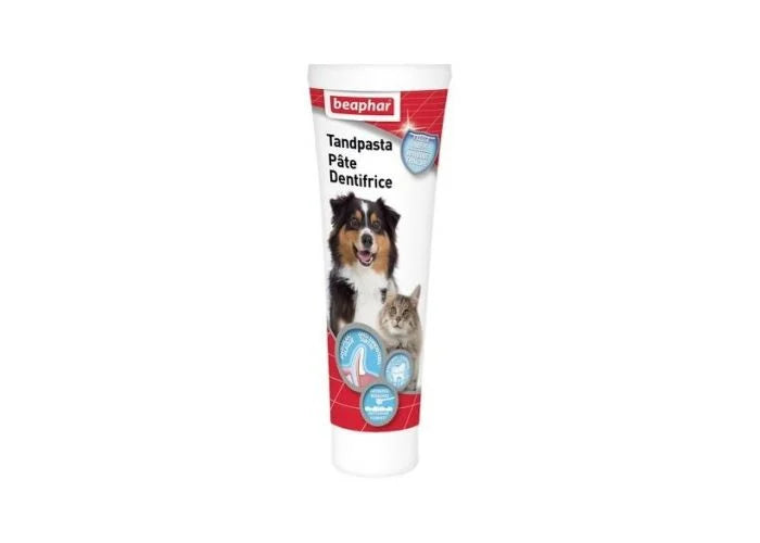Toothpaste 100g