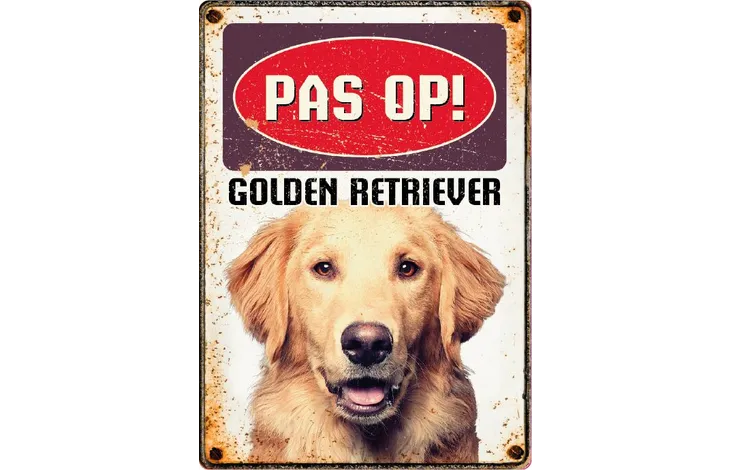 Bord Blik Golden Retriever (v) NL