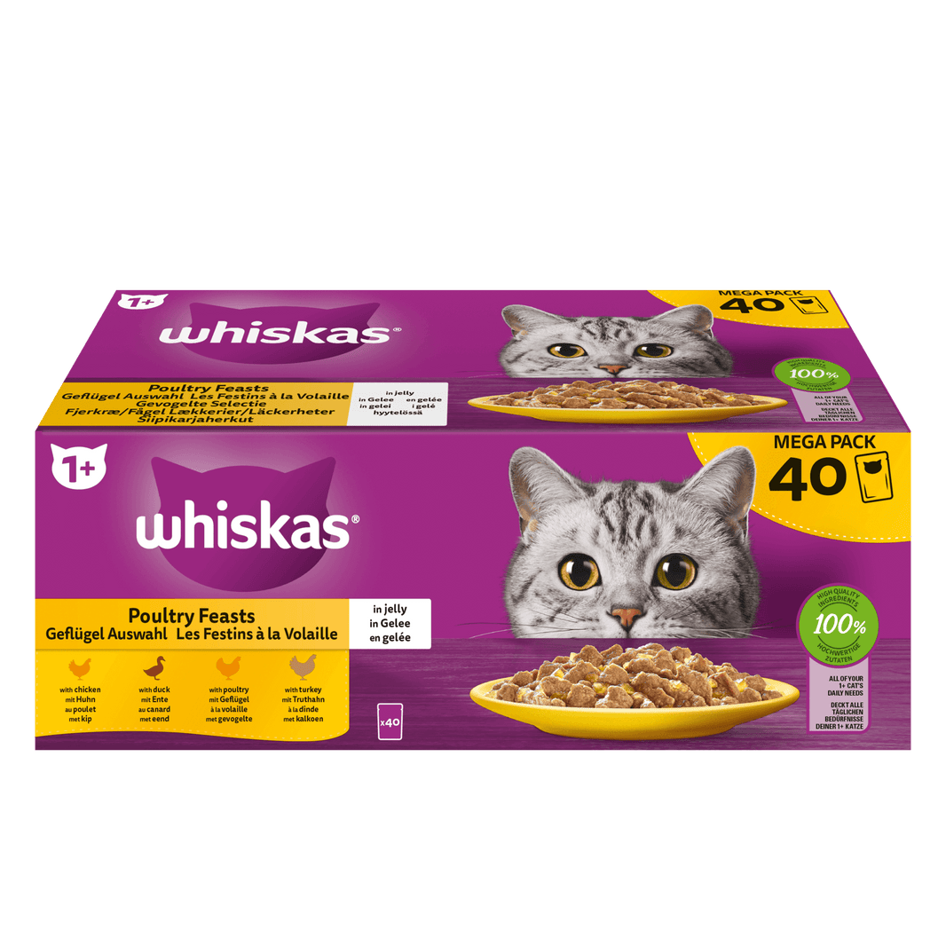 Whiskas Adult 1+ Kattennatvoer Multipack Gevogelte Selectie in Gelei 40x85g