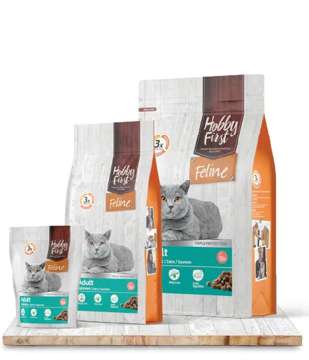 Feline Adult Zalm