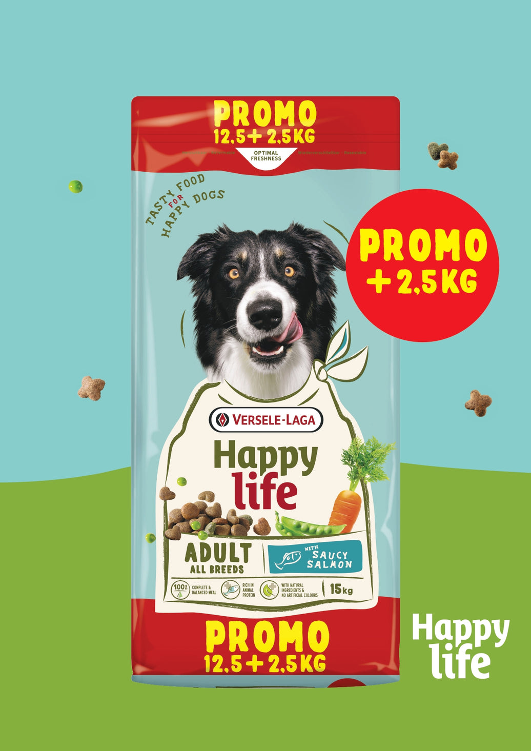 Happy Life adult Zalm PROMO 12.5+2.5kg