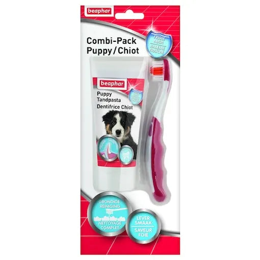 Toothpaste & Toothbrush Puppies