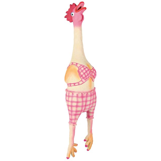 Hen hondenspeeltje 48cm