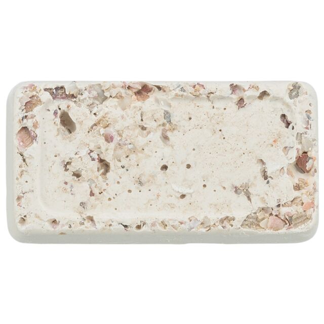 Piksteen met Schelpen Mineralen en Mosselen 30g