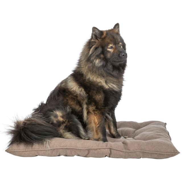 Kussen Caliente bruin