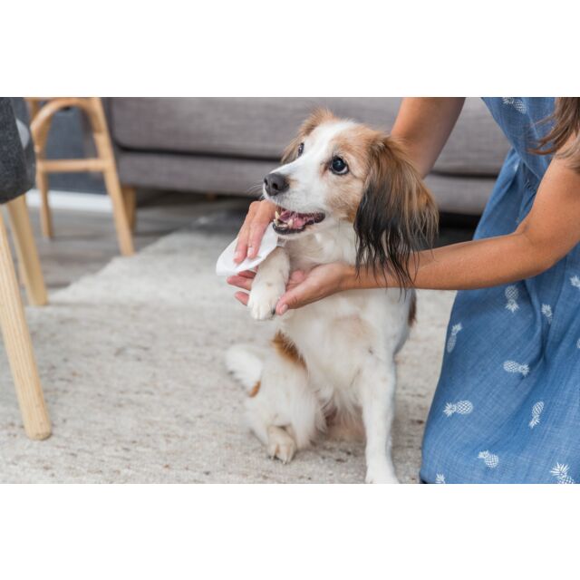 Coat-Care Universal Cosmetic Wipes