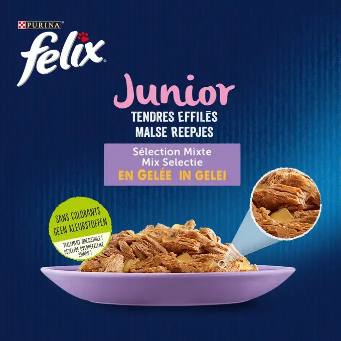 FELIX® MALSE REEPJES Junior Selectie met Vlees en Vis in Gelei 12x85g