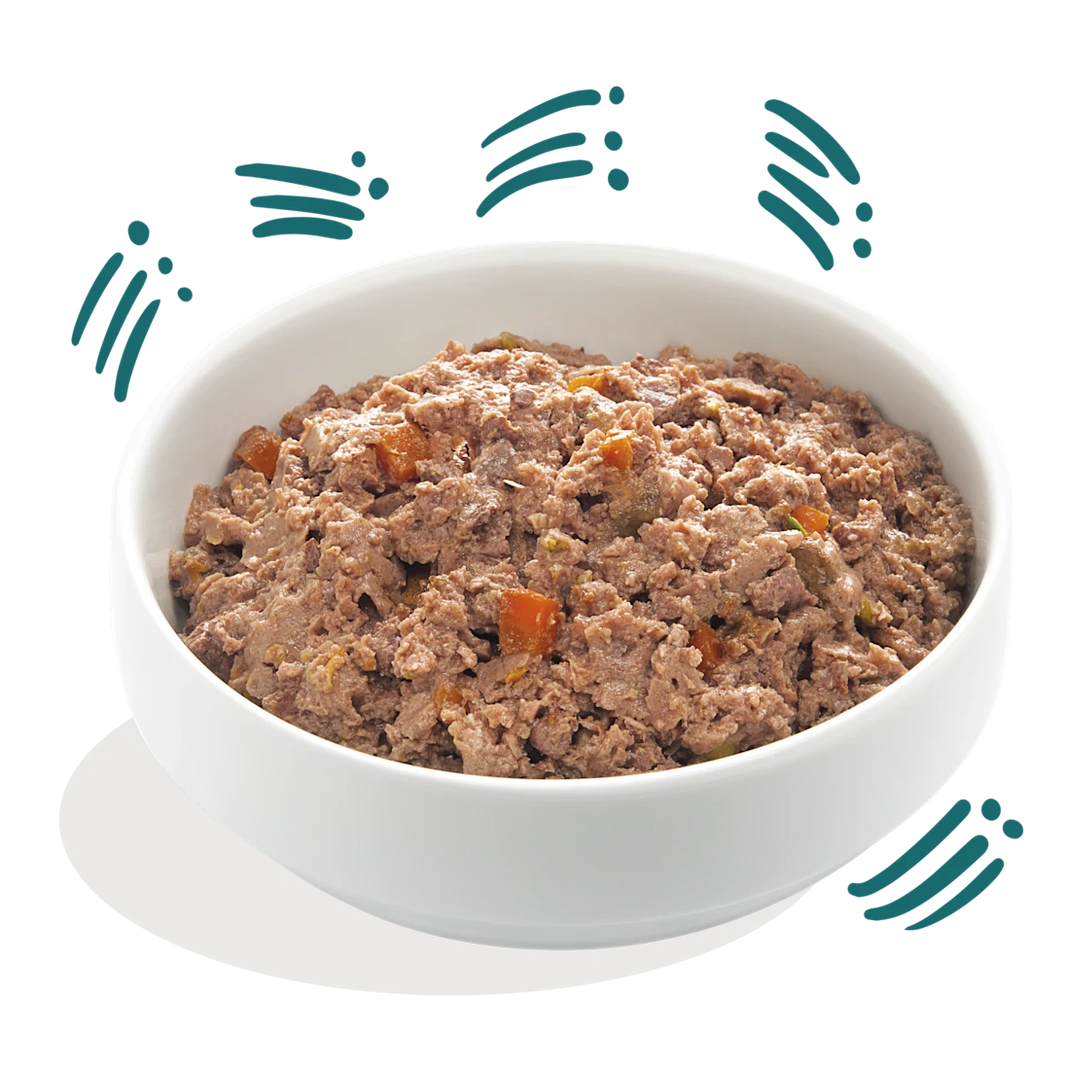 Biologische Vis 100g