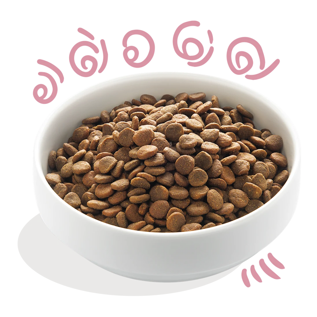 Graanvrije Brokjes met Verse Scharreleend & Kip Puppy