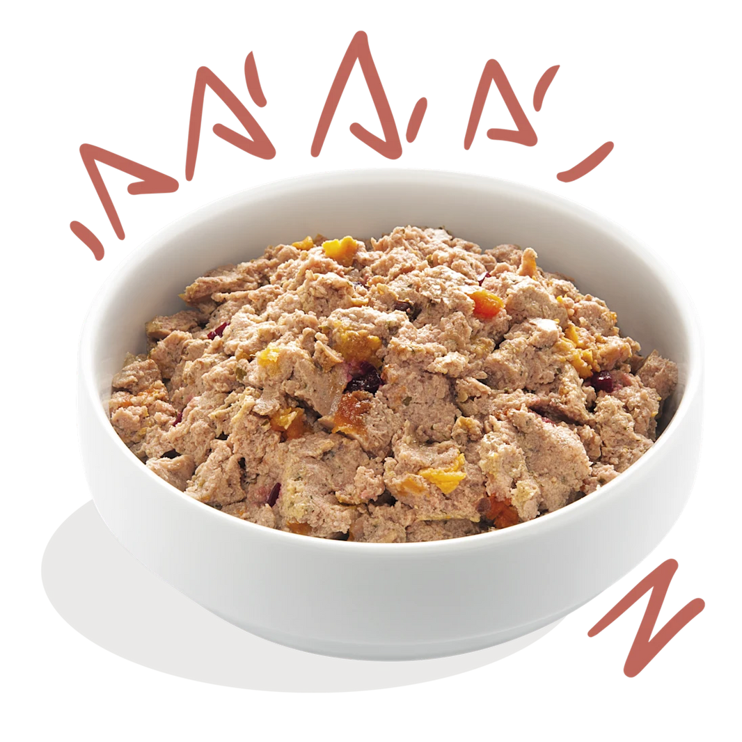 Kip & Zalm Senior 150g