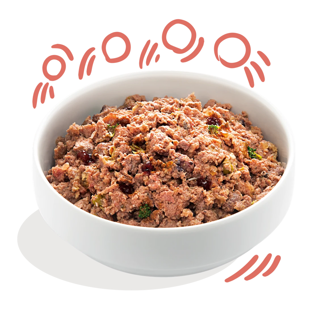 Kip & ASC-Zalm Senior 400g