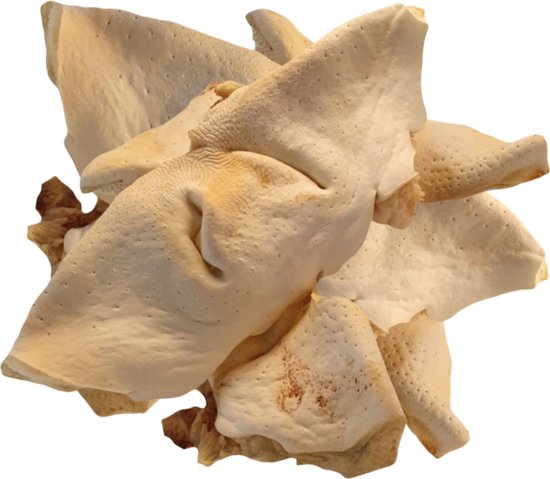 Runderneus Natuurlijke hondensnack