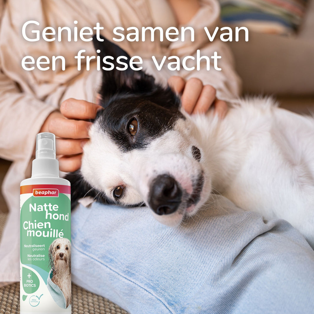 Natte Hond Spray Probiotica 250ml
