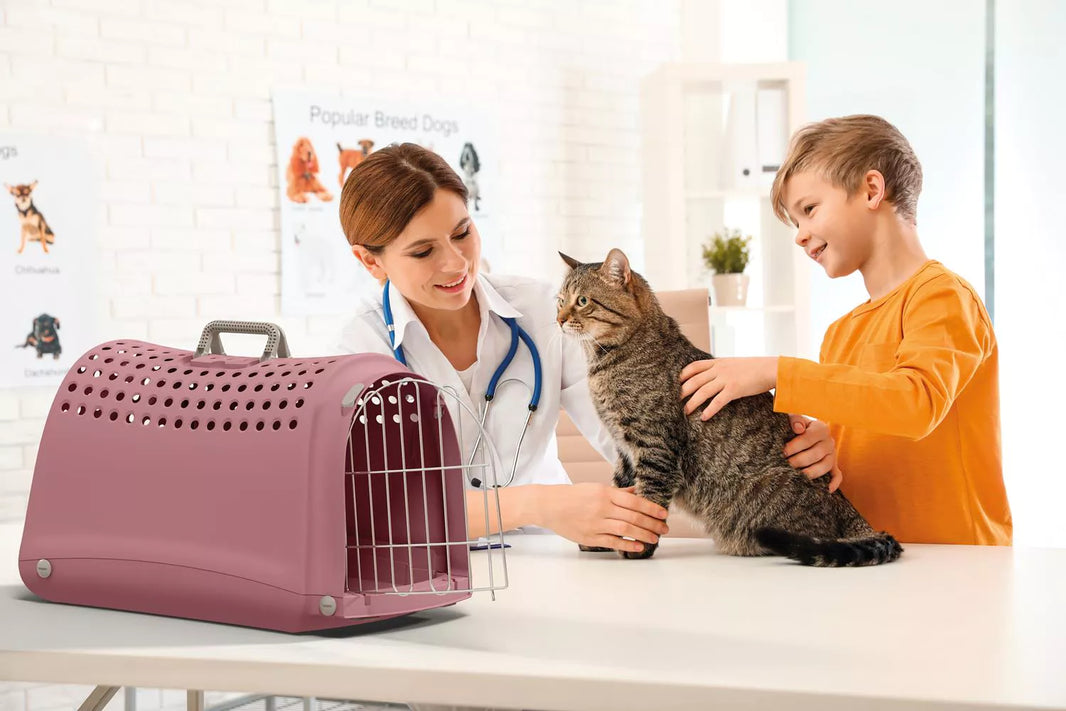 Reismand - LINUS Roze (52.5x32x34.5)