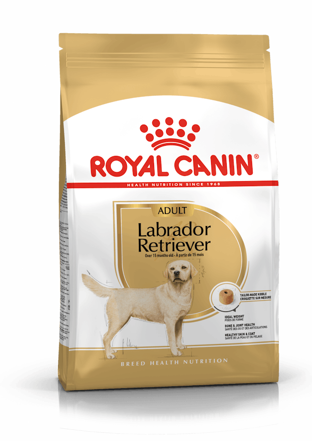 Labrador Retriever Adult 12kg