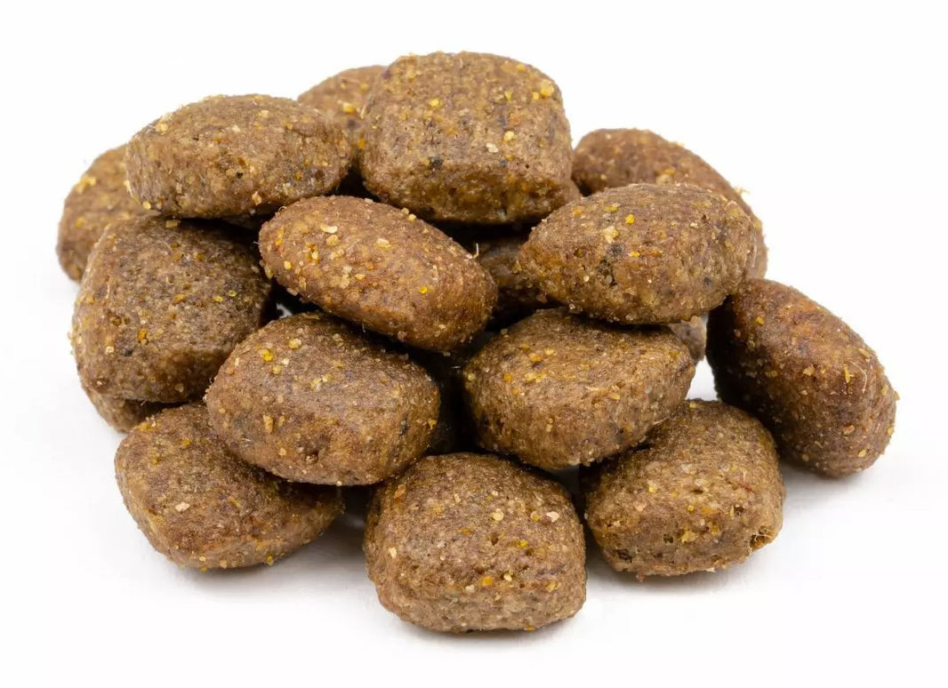 Profine Adult Light Lamb