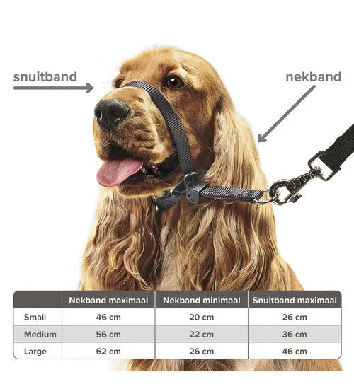 Anti-pull harness Gentle Leader Black Small Dog