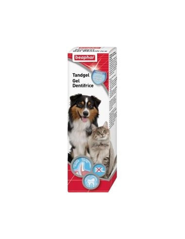 Tandgel 100g
